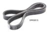 ASHIKA 112-5PK815 V-Ribbed Belts